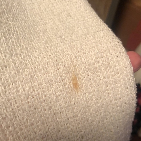 Awesome FREE AS A BIRD plus size Women’s Blouse - Picture 8 of 15